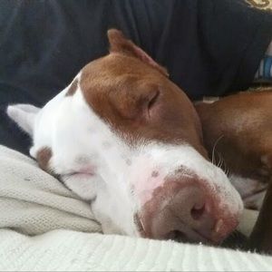 Meet your Posher, Jon